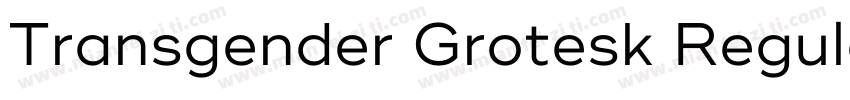 Transgender Grotesk Regular字体转换